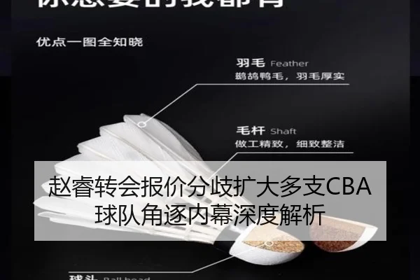 赵睿转会报价分歧扩大多支CBA球队角逐内幕深度解析